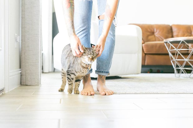 Images A Joy Story Photography