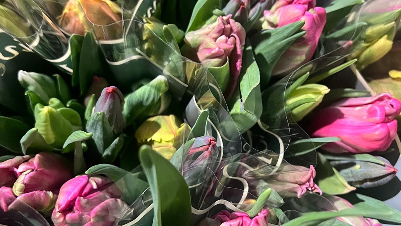 Images Fyrkat Blomster