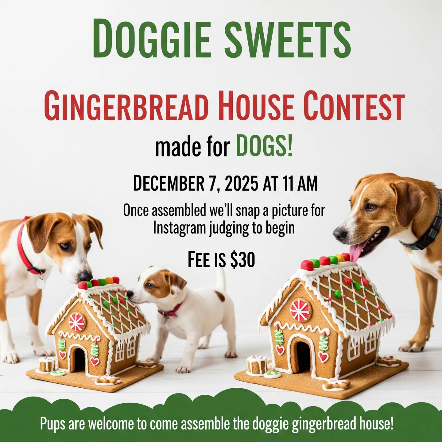 Image of Local Pet Event CAFE EVENT: Doggie Gingerbread House Contest Nearby