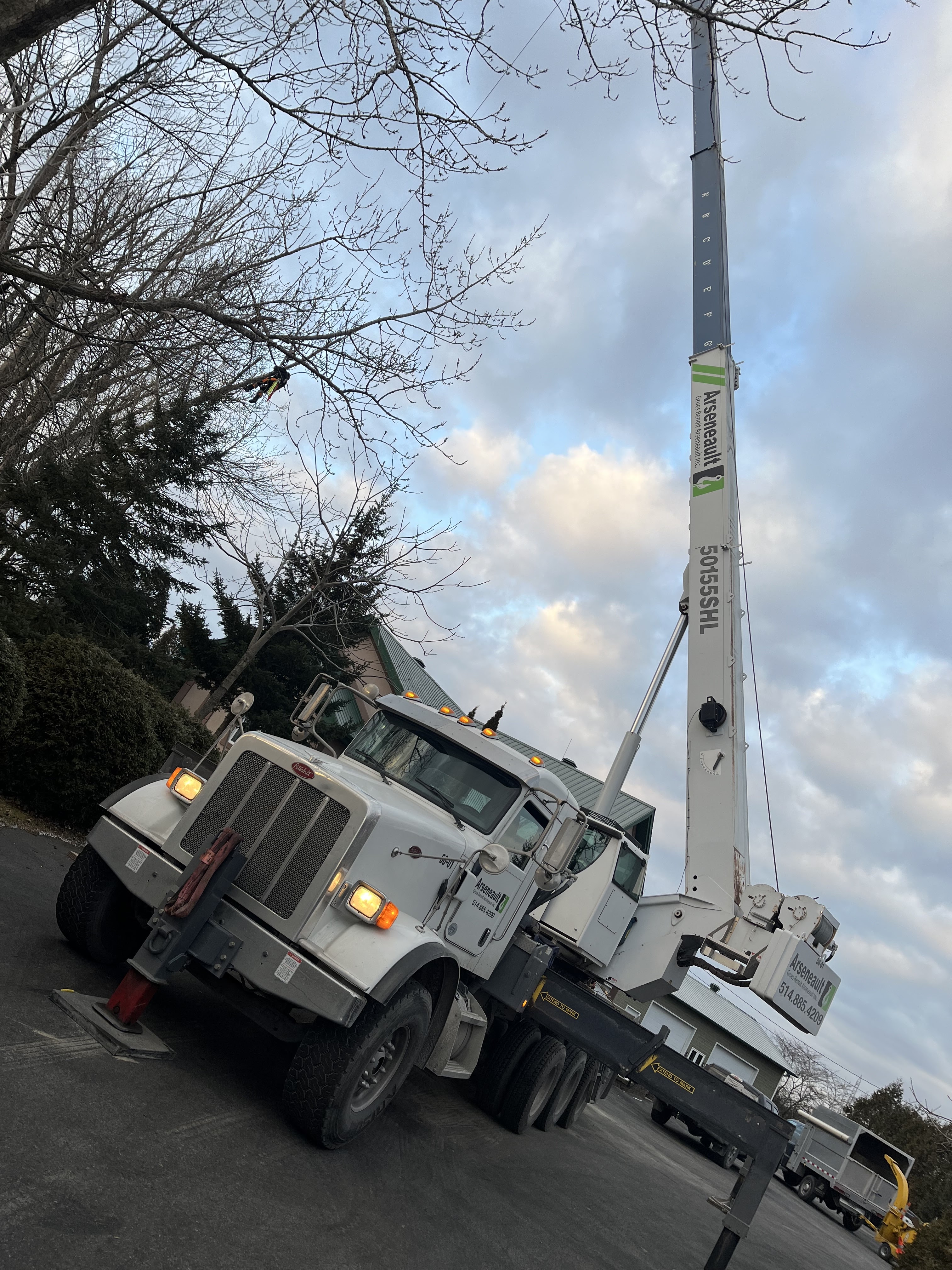 Images Service Entretien Arbres PL - Élagueur
