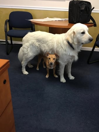 Images Jeff Noviello - State Farm Insurance Agent