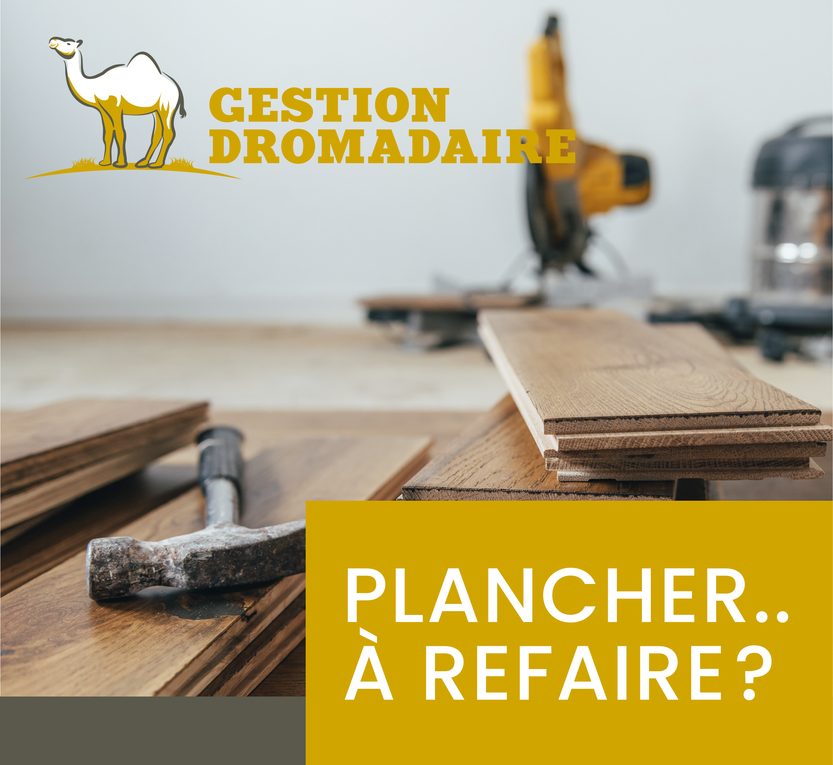 Images Gestion Dromadaire Inc