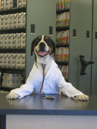 Images VCA Raleigh Hills Animal Hospital