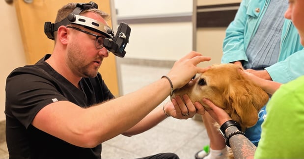 Images VCA Veterinary Referral and Emergency Center