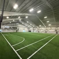 artificial turf indoor sports