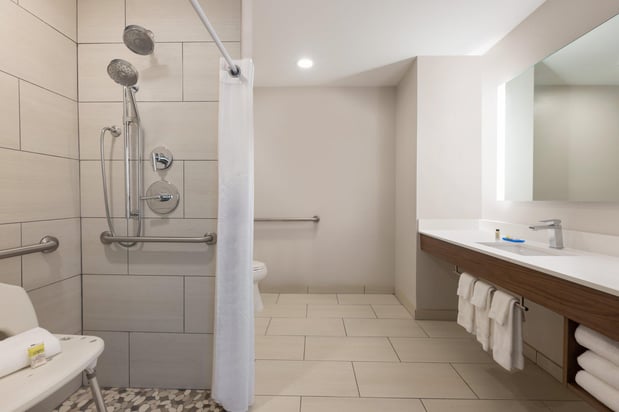 Images Holiday Inn Express & Suites Opelika Auburn by IHG