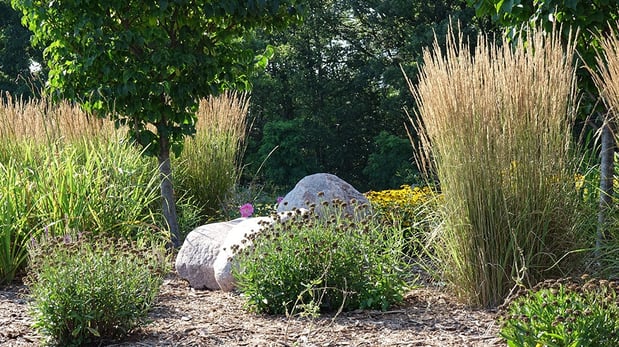 Images Serenity Farm Landscaping Inc.