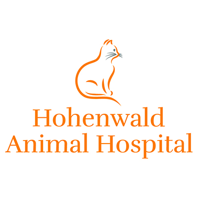 Hohenwald Animal Hospital