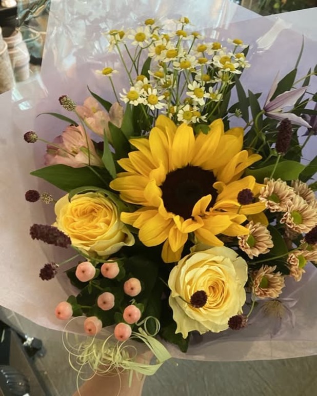 Images Jasmins Blommor