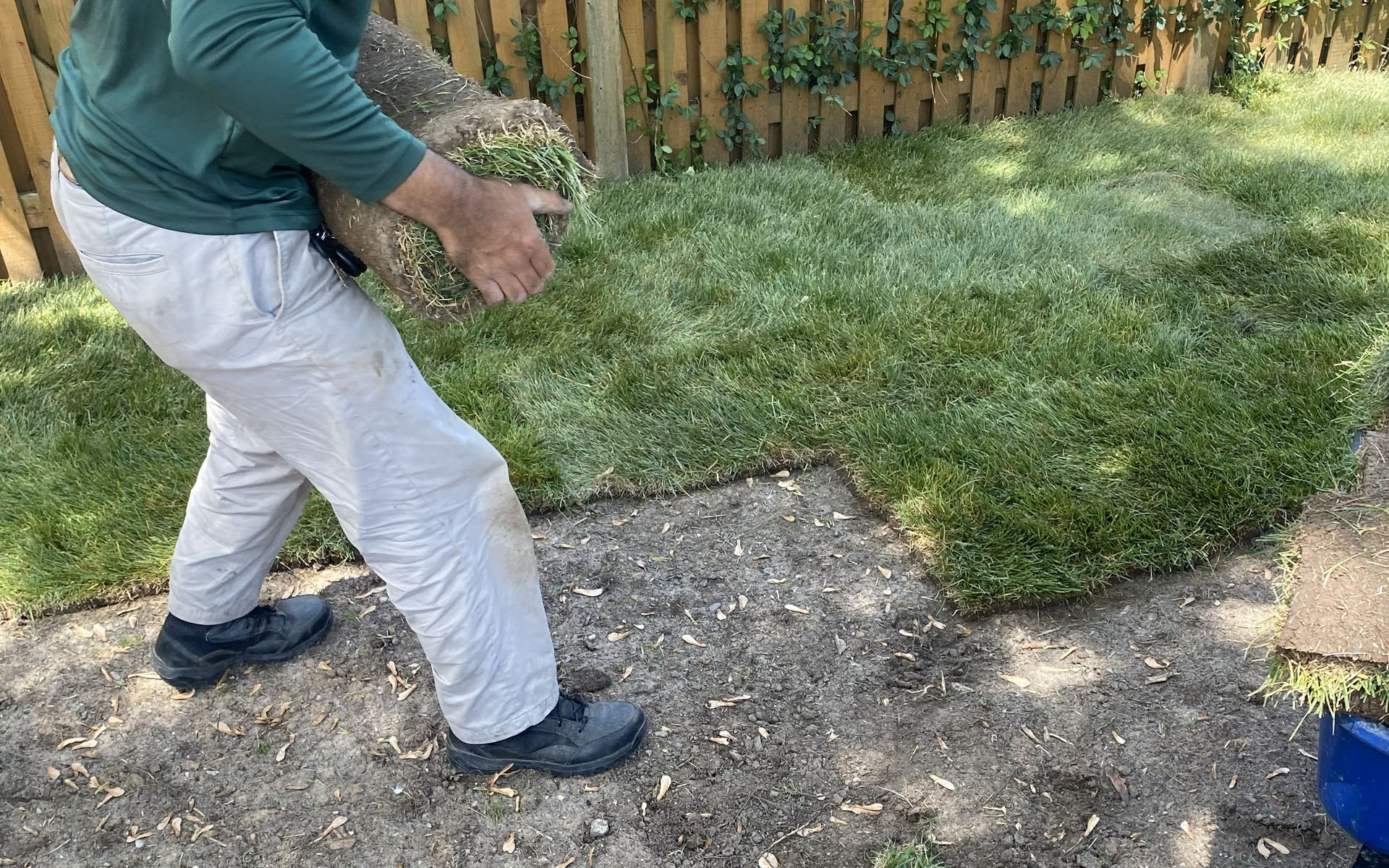 Rooted Lawn & Landscape Image