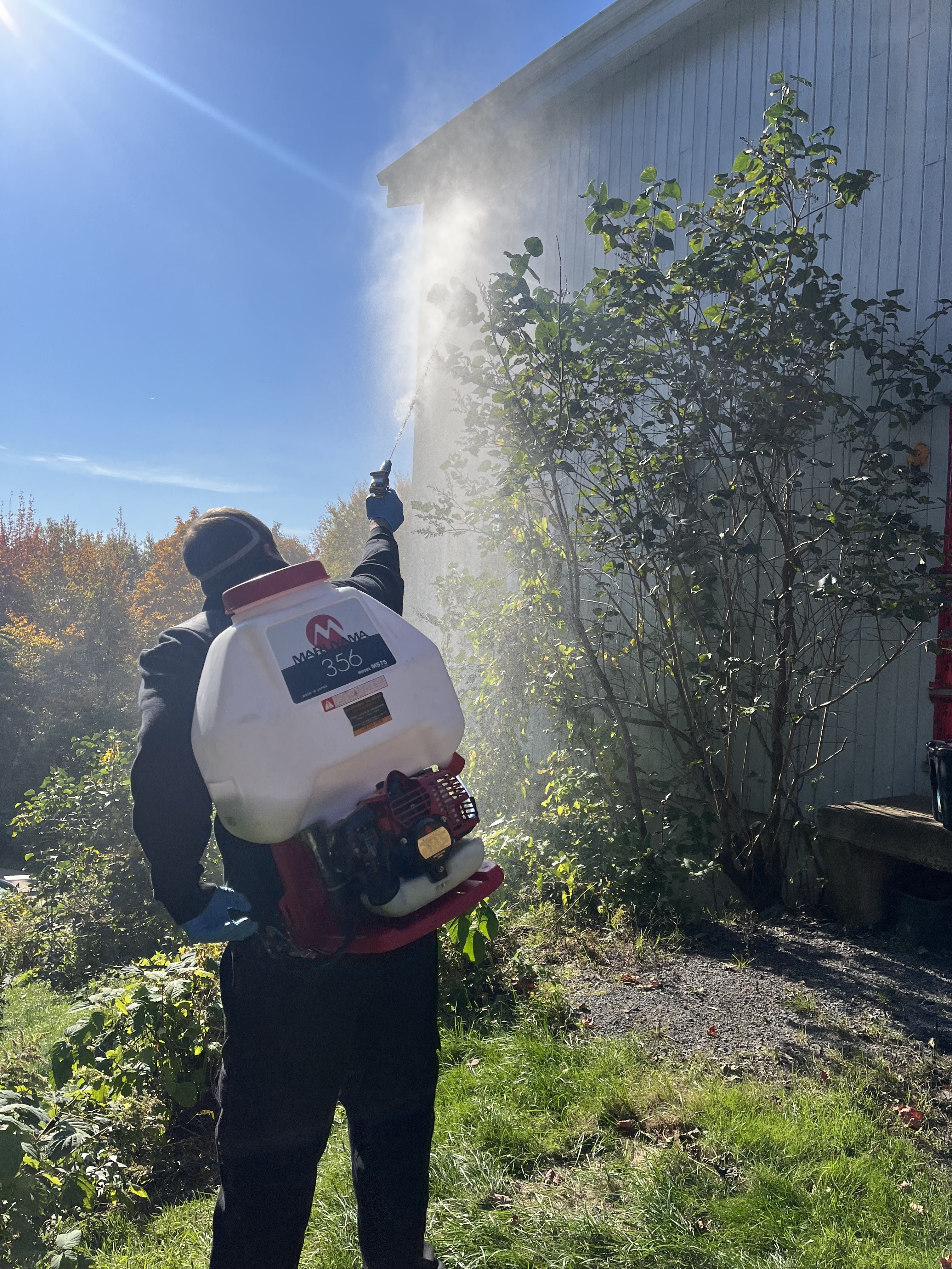 Images Exterminateurs Québec