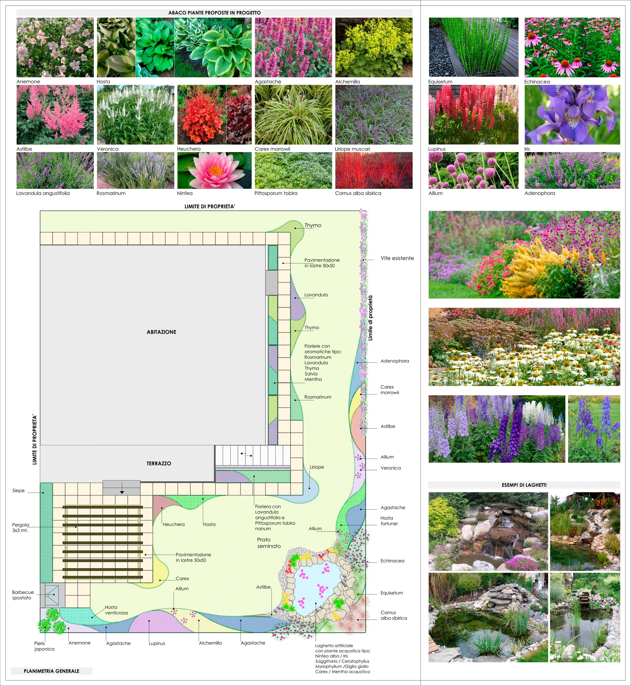 Bilder Forni Fabio SAGL