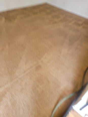 Images BCS Carpet Cleaning