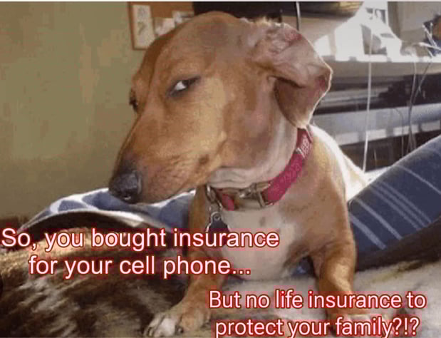 Images Alex Tzekovsky - State Farm Insurance Agent