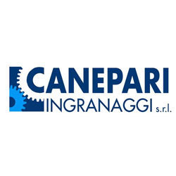 Canepari Ingranaggi Srl Logo