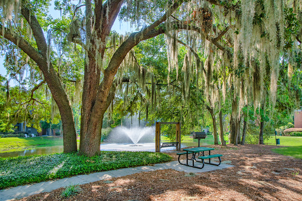 Images MAA Georgetown Grove