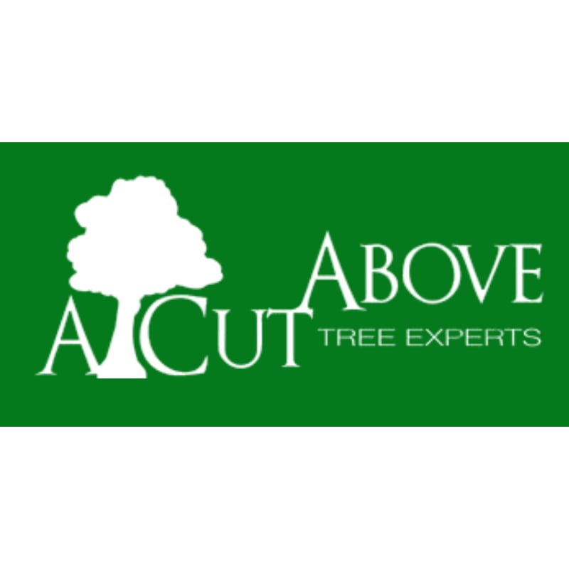 A Cut Above Tree Experts - Wilmington, NC 28409 - (910)232-2000 | ShowMeLocal.com