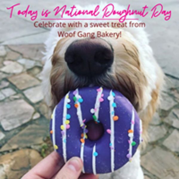 Image 16 | Woof Gang Bakery & Grooming Henderson