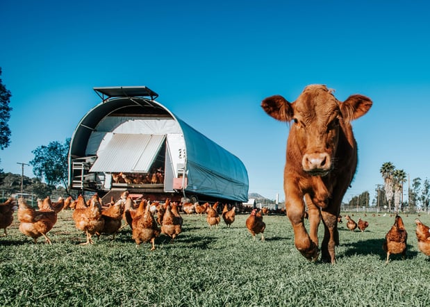 Images Where Food Comes From Inc