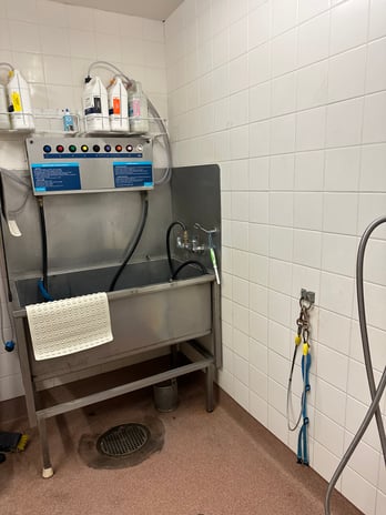 Images Petco Grooming