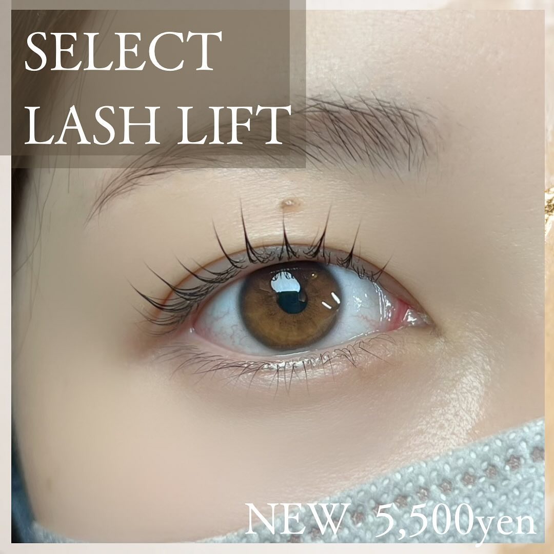 Images eyelash salon LIALI