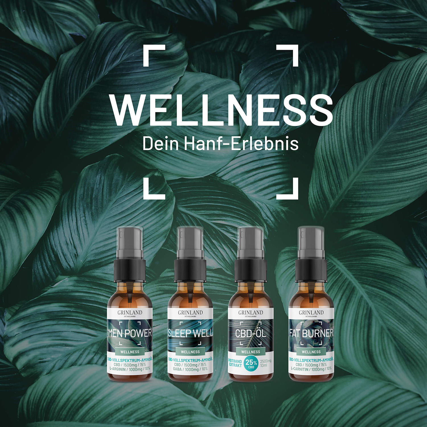 Grinfeld GmbH, Bahnstrasse 66 in Düsseldorf