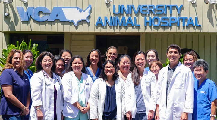 Welcome to VCA University Animal Hospital! VCA University Animal Hospital Honolulu (808)725-2608