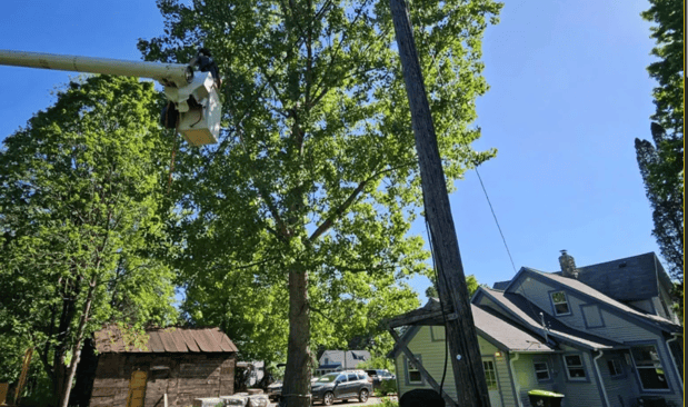Images Stuckman Tree Service South