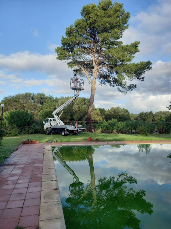 Images Mediterranea Ambiente