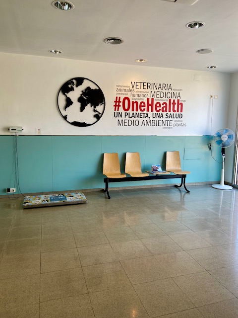 Images Vets Clinica Veterinaria