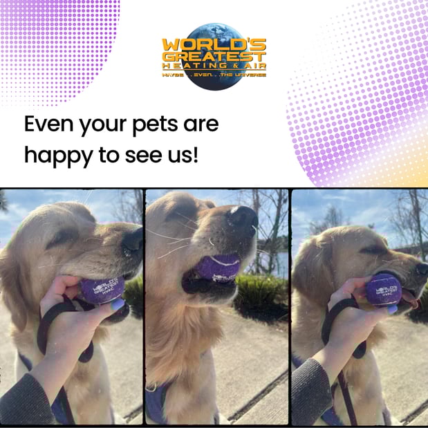 Images World’s Greatest Heating and Air Daytona