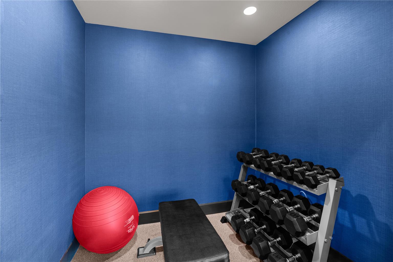 Health club fitness center gym