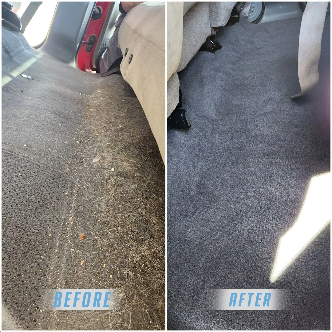 Proshine Auto Detailing Image