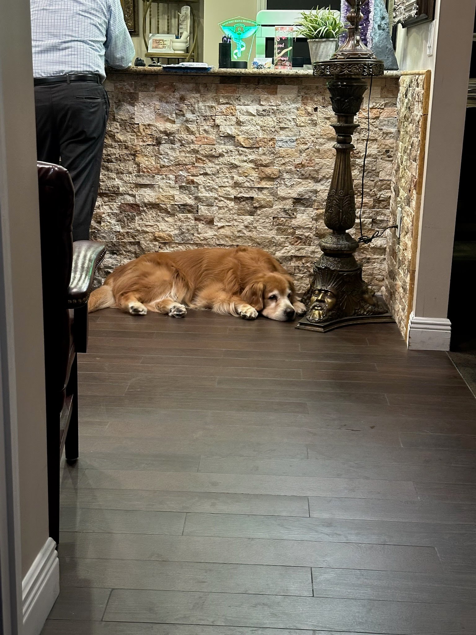 Naples Family Health & Wellness: Mascott