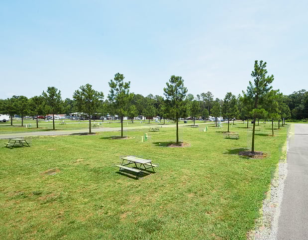 Images Grey's Point Camp