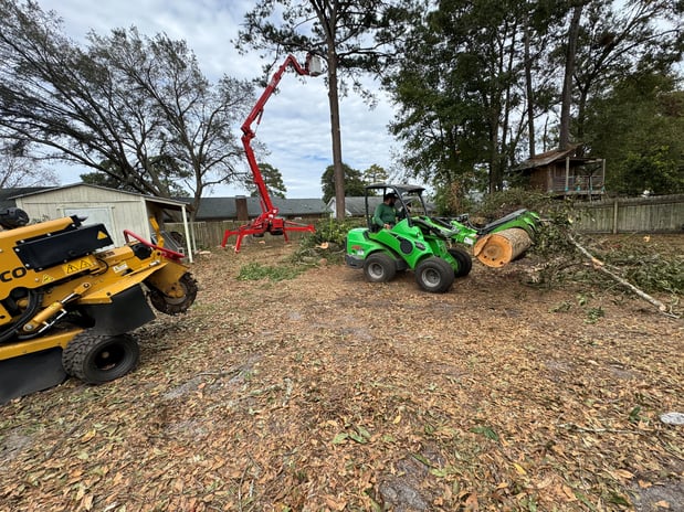 Images Magana Tree Service