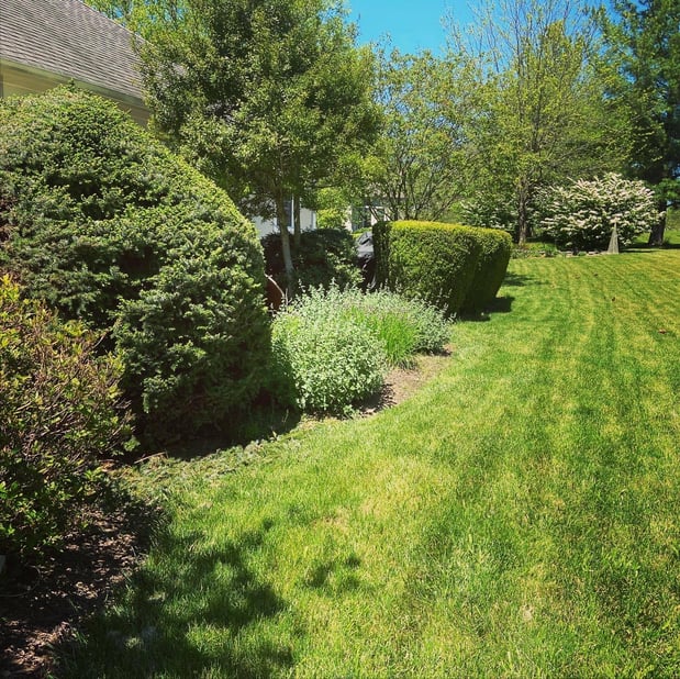 Images Barr Landscaping
