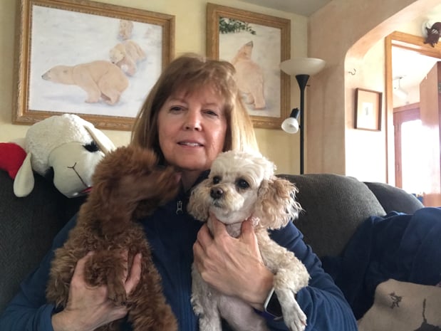 Images Care Animal Clinic
