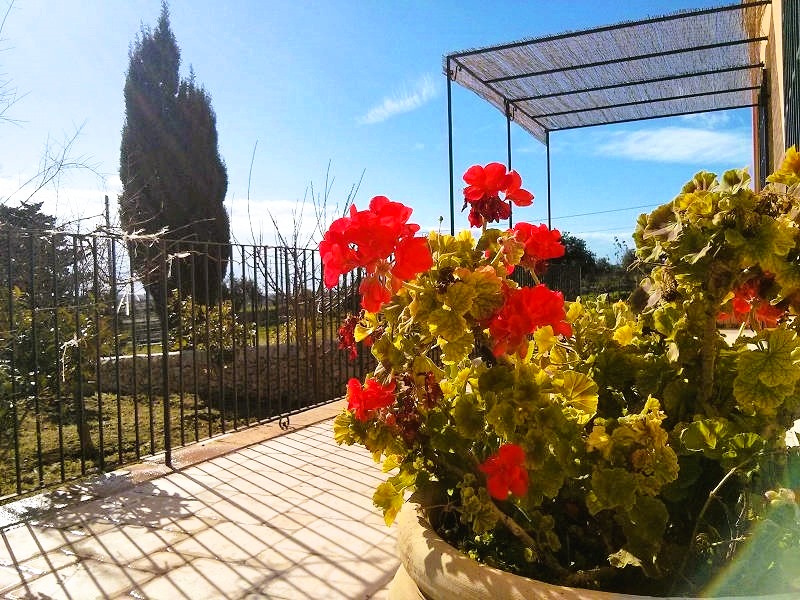 Images Il Tenimento Agriturismo - Ispica