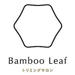 Bamboo Leaf Logo