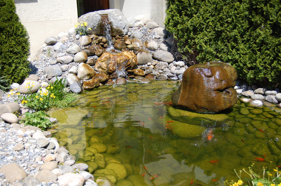 Bilder Thomas Gisi Gartenbau GmbH