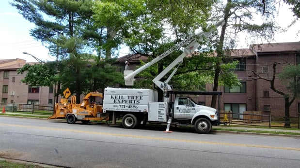 Images Keil Tree Experts Inc