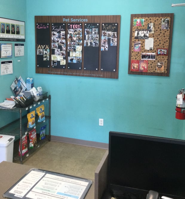 Images Petco Grooming