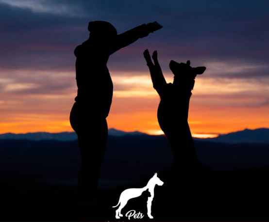 Images La Madonnina for Pets