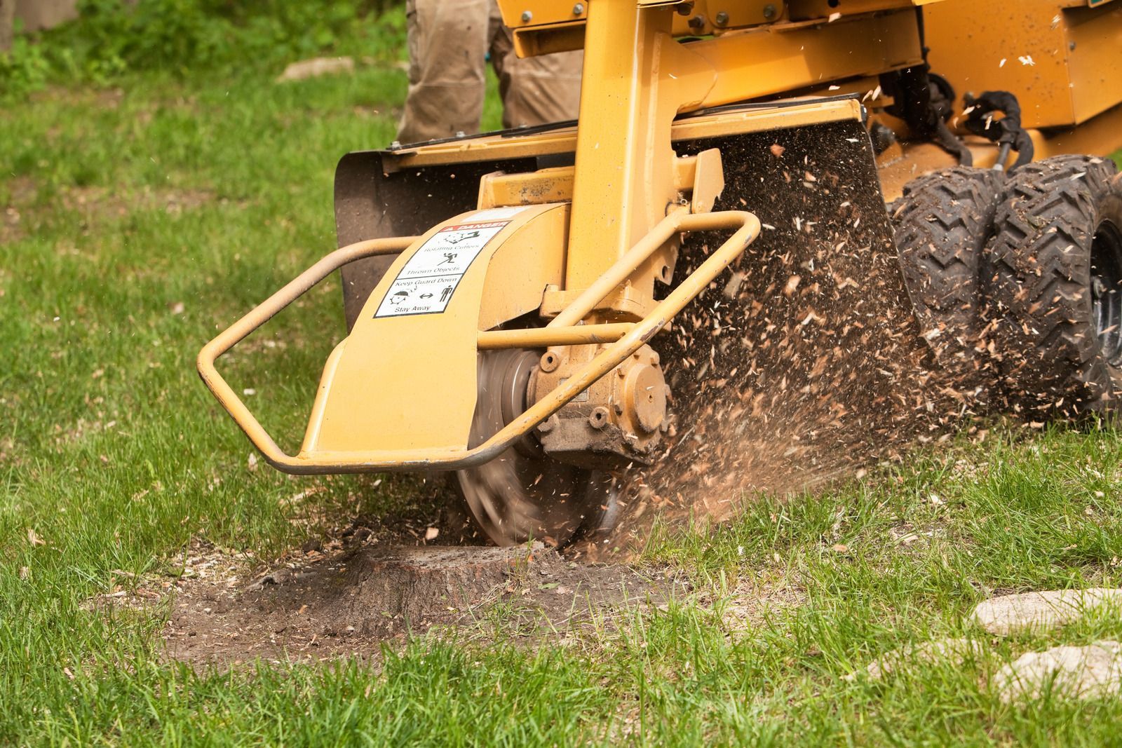 Professional stump grinding equipment removing a tree stump from a grassy yard. The machine efficiently shreds wood into debris, preparing the ground for landscaping or construction. Ideal for residential and commercial land clearing and site preparation services.