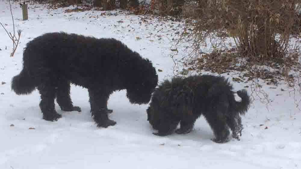 Images Store Heddinge Dyrehospital