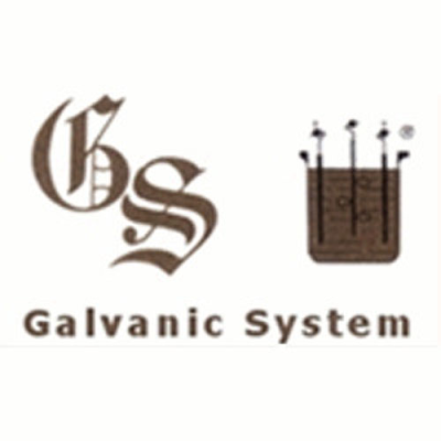 Galvanic System Logo