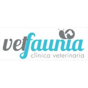 Vetfaunia Clínica Veterinaria Castellón Castellón de la Plana