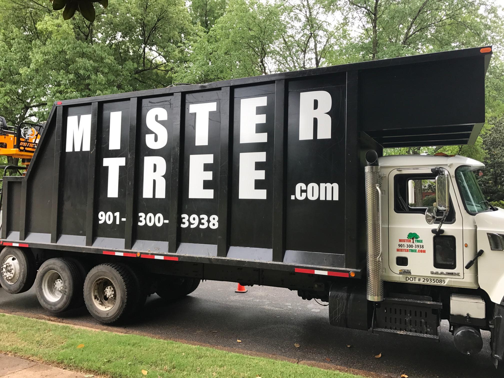 Mister Tree Service Photo