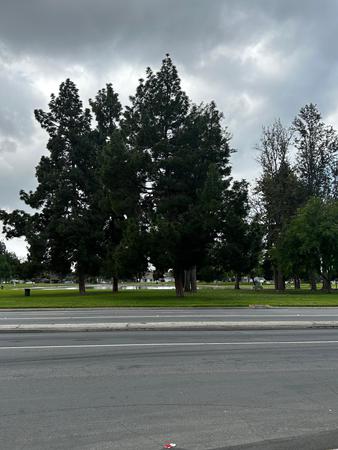 Images Akua Mental Health Long Beach